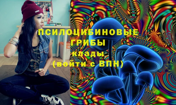 меф Семилуки