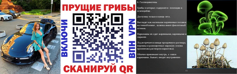 Псилоцибиновые грибы Magic Shrooms  blacksprut рабочий сайт  Зубцов 
